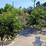 Apartamento Tria Liodendra Corfu-sun *