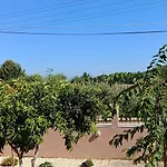 Tria Liodendra Corfu-sun